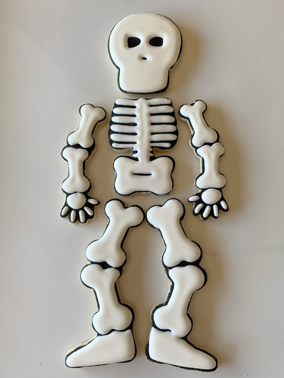Build a Skeleton - 10 Inches Long